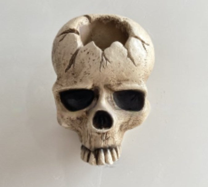 Skull Wall Sconce Candle Holder
