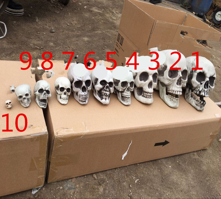 Realistic Halloween Skull Prop