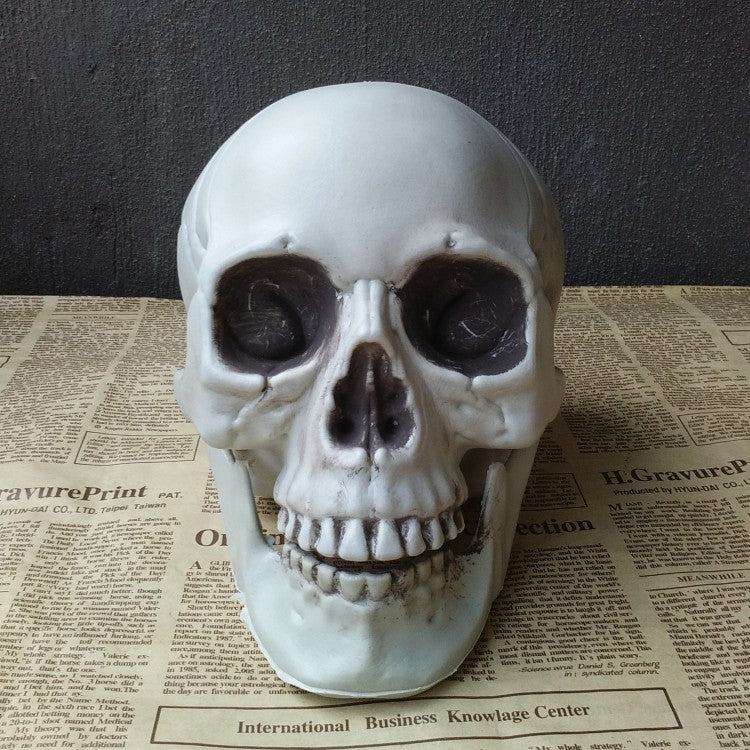 Realistic Halloween Skull Prop