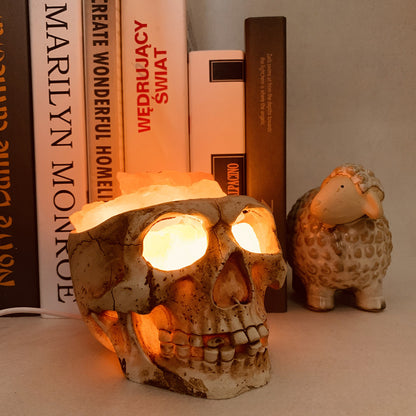 Crystal Skull Accent Lamp