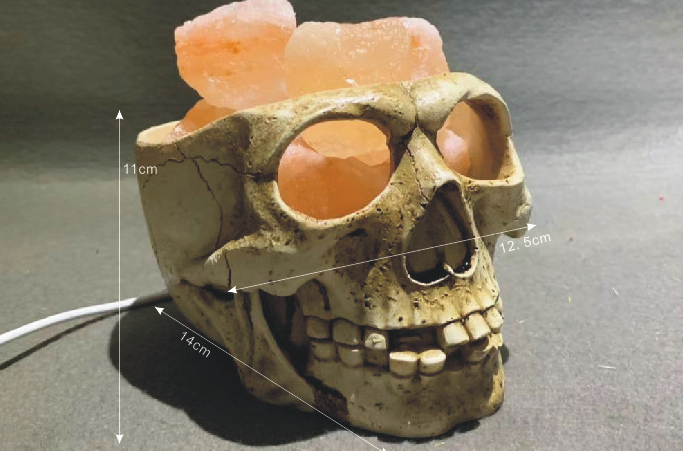 Crystal Skull Accent Lamp